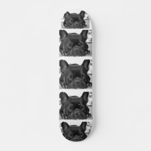 Skateboard Planche à roulettes de bouledogue français