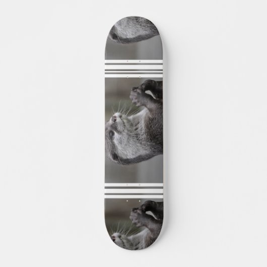 Skateboard Planche à roulettes de cerveau de loutre (Devant)
