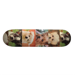 Skateboard Planche à roulettes de chien