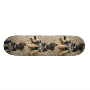 Skateboard Planche à roulettes de chiot de berger allemand