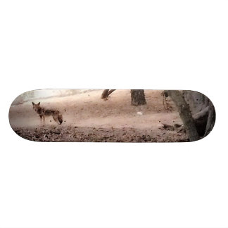 Skateboard Planche à roulettes de COYOTE