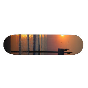 Skateboard Planche à roulettes de Daytona Beach FL d'océan de