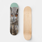 Skateboard planche à roulettes de hibou (Recto)