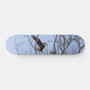 Skateboard Planche à roulettes de livraison de dîner de poiss