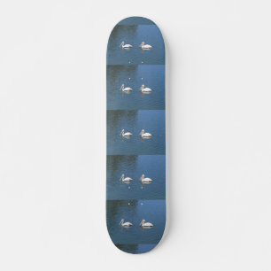 Skateboard planche à roulettes de paires de pélican