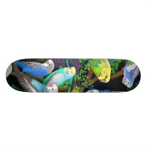 Skateboard Planche à roulettes de perruches de perruche