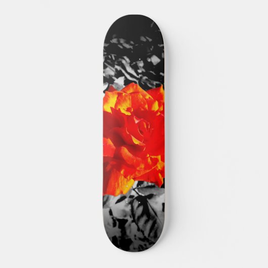 Skateboard Planche à roulettes de rose rouge (Recto)