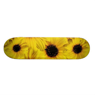 Skateboard planche à roulettes de tournesol