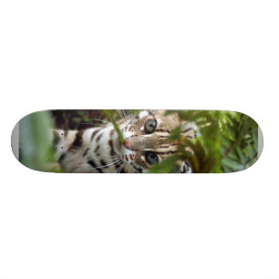 Skateboard Planche à roulettes du chat 022 du Bengale