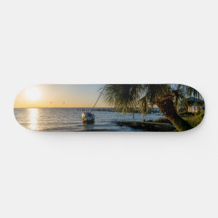 Skateboard Planche à roulettes en Floride
