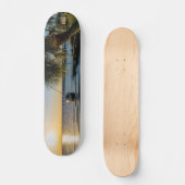 Skateboard Planche à roulettes en Floride (Recto)