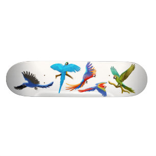 Skateboard Planche à roulettes folle d'ara