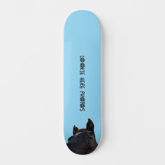 Skateboard Planche à roulettes JEU DE CHEVAL