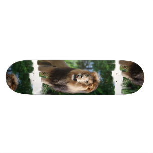Skateboard Planche à roulettes majestueuse de lion