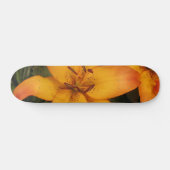 Skateboard Planche à roulettes Orange Lily (Horz)