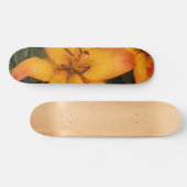 Skateboard Planche à roulettes Orange Lily (Horz)