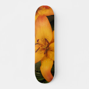 Skateboard Planche à roulettes Orange Lily