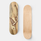 Skateboard Planche à roulettes Renard fennec rapide (Recto)
