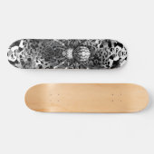 Skateboard Planche à roulettes toile d'araignée (Horz)