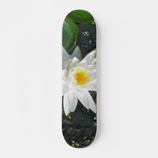 Skateboard Planche blanche (Devant)