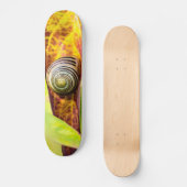 Skateboard planche de fixation calme (Recto)