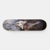 Skateboard Planche de patinage Best Buds (Horz)