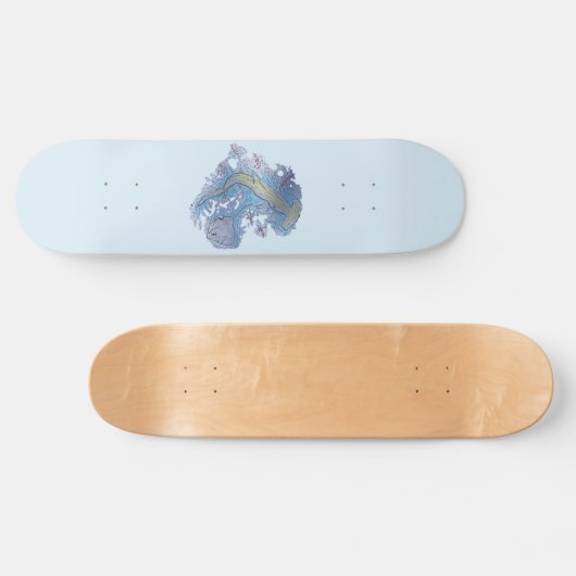 Skateboard planche de requin (Horz)