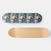 SKATEBOARD PLANCHER DOLPHIN SMILE (Horz)