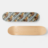 Skateboard planches de bois flotté rouillé Thunder_Cove (Horz)
