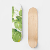 Skateboard Plante de Ficus (Recto)