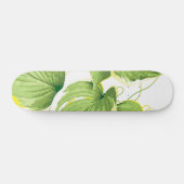 Skateboard Plante de figuier (Horz)