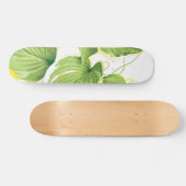 Skateboard Plante de figuier (Horz)