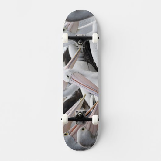 Skateboard Pod pélican (Recto)