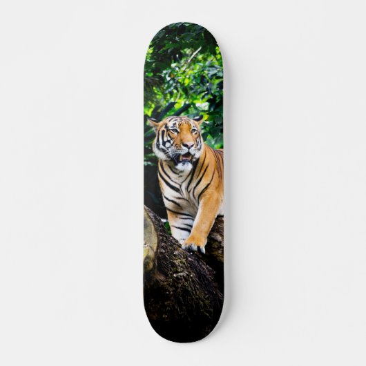Skateboard Poderoso cazador tigre de Bengala (Voorkant)