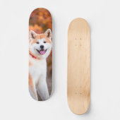 Skateboard Poderoso perro Akita japonés sentado (Recto)