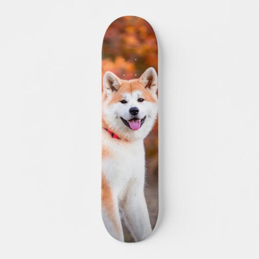Skateboard Poderoso perro Akita japonés sentado (Devant)