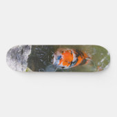 Skateboard Poisson Koi dans un étang (Horz)