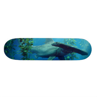 Skateboard Poisson-marteau