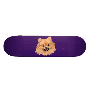 Skateboard Pomeranian