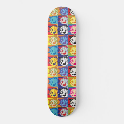 Skateboard Pop Art Dogecoin (Recto)