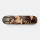 Skateboard Porcs ivres (Horz)