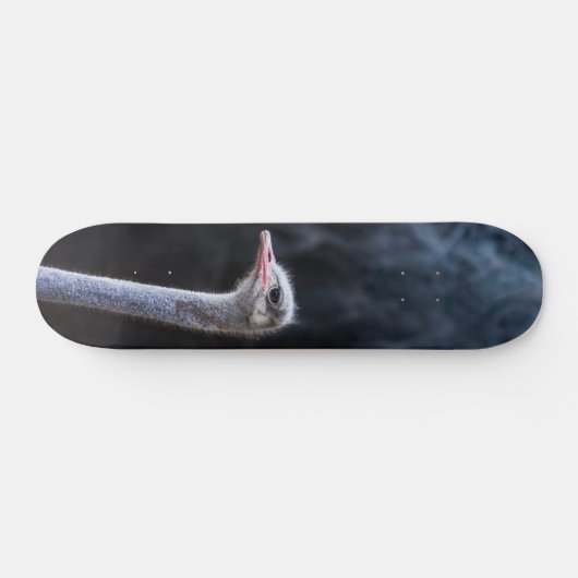 Skateboard portrait d'autruche (Horz)