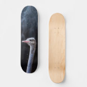 Skateboard portrait d'autruche (Recto)