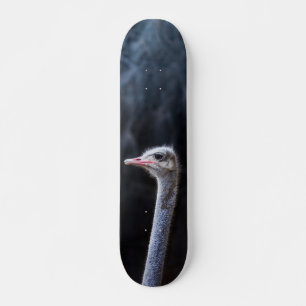 Skateboard portrait d'autruche
