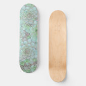 Skateboard Poules Et Poussins (Recto)