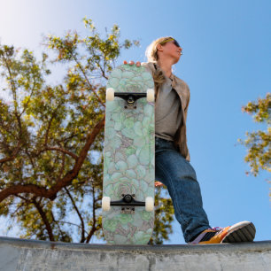 Skateboard Poules Et Poussins