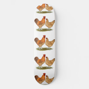 Skateboard Poulet à billes Lincolnshire