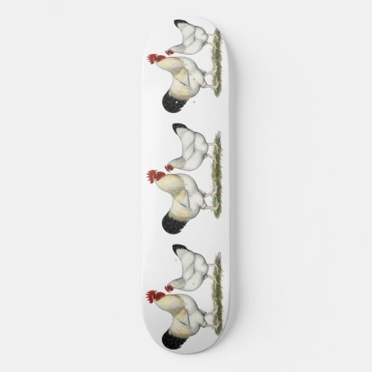 Skateboard Poulets de la rivière Indian (Recto)