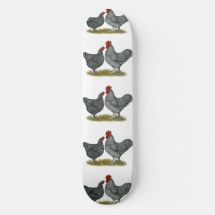 Skateboard Poulets de Maline