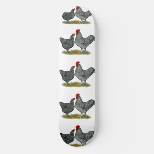 Skateboard Poulets de Maline (Recto)